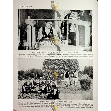 Veiled Serbian Bride (Weaving & Agriculture On Back), Book Illustration, c1920