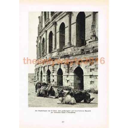 Amphitheatre, El Djem, Tunisia, Photo Book Illustration (Print) 1935