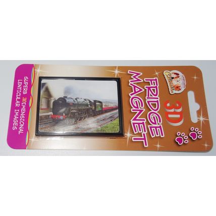 STEAM TRAIN fridge magnets 3D or Antique brass effect 8 choices