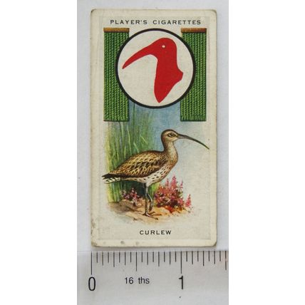 1933 Player's Boy Scout & Girl Guide Patrol Signs & Emblems No. 5 Curlew