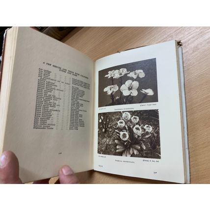 c1950 WINTER FLOWERING PLANTS FOR OUTDOOR BORDERS ILLUSTRATED HARDBACK BOOK (P3)
