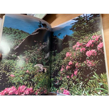 1979 "NORTH CAROLINA" JAMES VALENTINE PHOTOGRAPHY 1.6kg HUGE HB BOOK (P8)