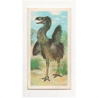 1972 Brooke Bond Tea card Prehistoric Animals Card no.31 Phororhacos