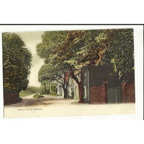 Yorkshire HORNSEA Seaton Road Postcard by Morrison