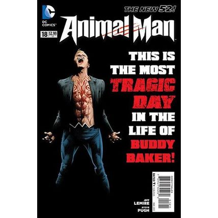 Animal Man (Vol 2) # 018 NM MODERN AGE COMICS