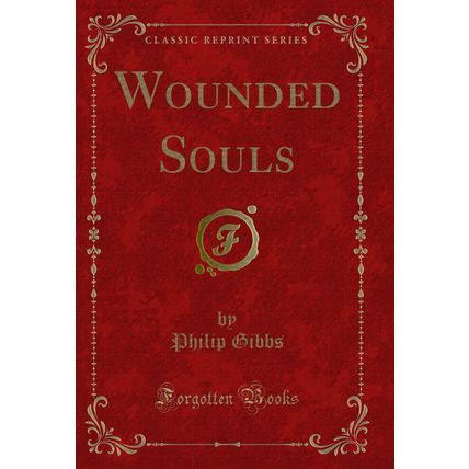 Wounded Souls (Classic Reprint)