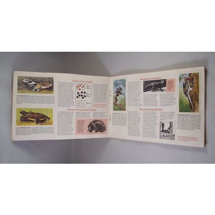 Brooke Bond Tea Card Album: 1976 Wonders of Wildlife, With All Cards