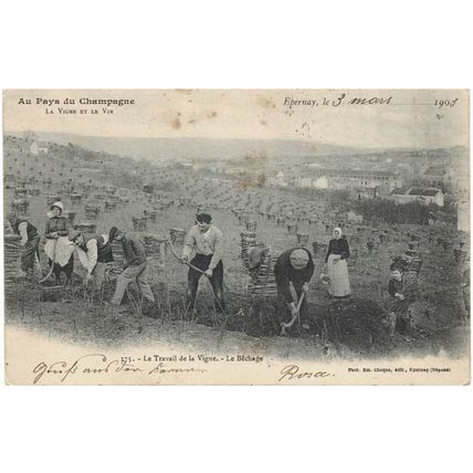 FRANCE REPUBLIQUE FRANCAISE 1903 AU PAYS DU CHAMPAGNE EPERNAY POSTCARD POSTED