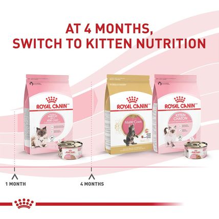 Royal Canin Feline Health Nutrition Mother & Babycat Ultra Soft Mousse in Sauce
