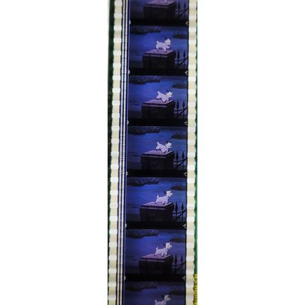 PK GEB - Y - f0144N . 1 STRIP OF 5 - 35MM - FILM CELLS