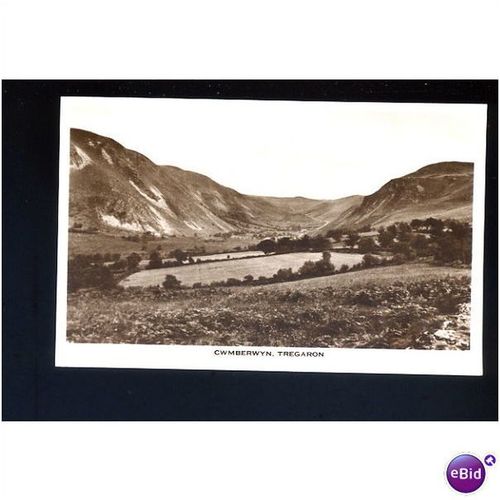Wales TREGARON Cwmberwyn Postcard