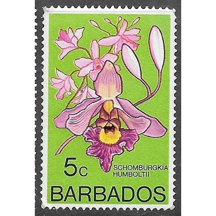 1974/1977 SG 489 - MNH (**)