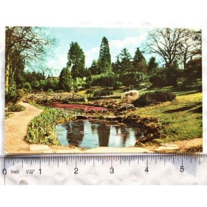 old postcard R.H.S. Gardens Wisley, The Long Pond