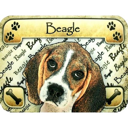 Beagle Photo Fridge Magnet
