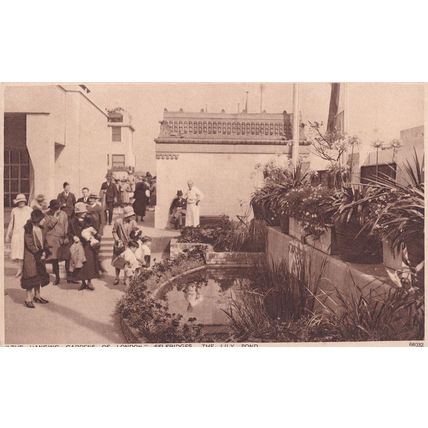 Hanging Gardens Selfridges Rose Garden Pool London Postcard