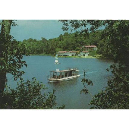 Lake Barrine National Park Ship Cruise Launch Australia Postcard