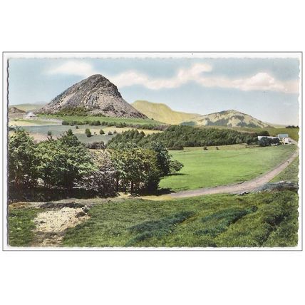 07 - GERBIER DE JONC