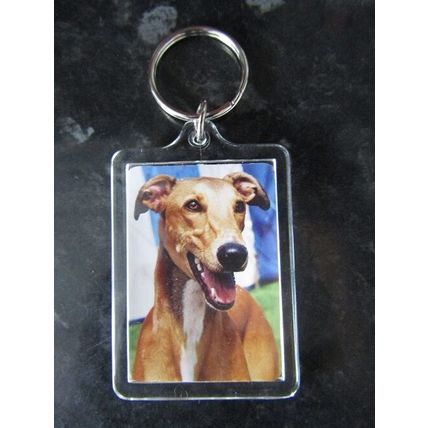 DOG BREED KEY RINGS QUALITY ACRYLIC DOUBLE SIDED PHOTO KEY RINGS 33 BREEDS