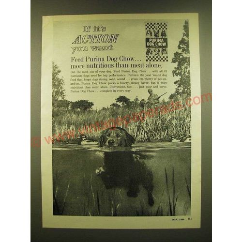 1966 Purina Dog Chow Ad
