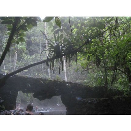 Costa Rican Hot Spring Volcanic Rocks Costa Rica Jungle Volcano Choose Variation