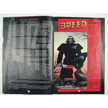 Comic Book - Bravura Hero Illustrated (1994) Preview 1/2 Malibu