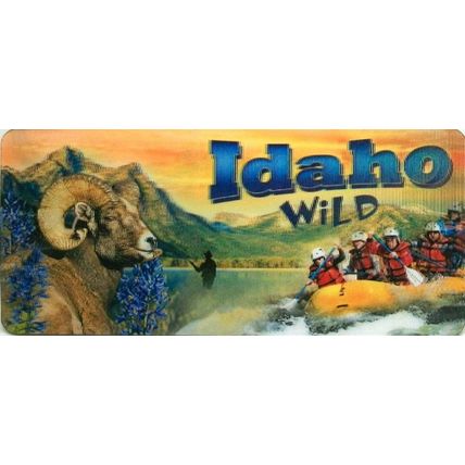 Idaho 3D Fridge Magnet