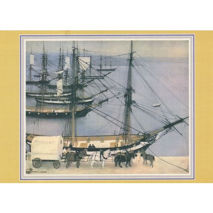 Victorian Royal Mail Packets Arriving at Falmouth Painting Postcard