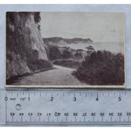 1905 postcard Sunny Japan