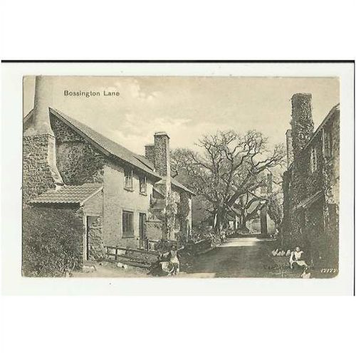 Somerset BOSSINGTON LANE Postcard by Valentine (17177)