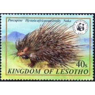 Lesotho QEII 1982 Wildlife WWF 40s Porcupine Mounted Mint MM SG471 postage stamp
