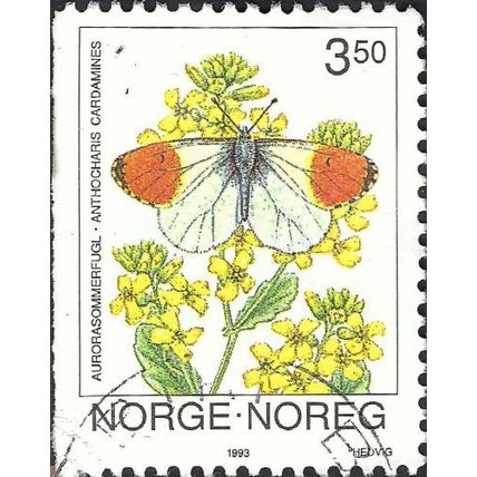 NORWAY, BUTTERFLY, Orange Tip, Anthocharis cardamines, white 1993, 3.50kr