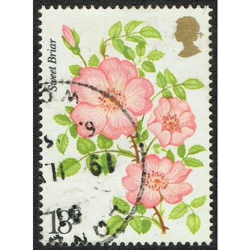 1976 Centenary of National Rose Society 13p Multicoloured SG1009 FU
