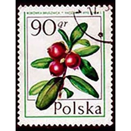 Poland 1977 Fruit 90Gr Used Stamp