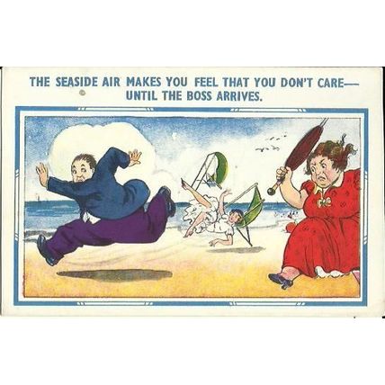 Comic THE SEASIDE AIR Postcard (3548)