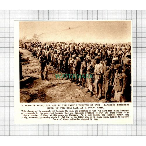 C5561) Japanese Prisoners Of War POW Okinawa Japan - 1945 Cutting