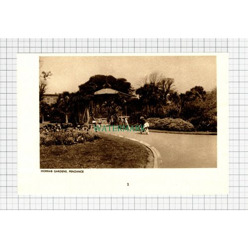 C5574) Morrab Gardens Penzance Cornwall - Small 1930s Cutting