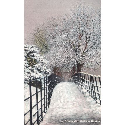 Dunstable in Winter Dog Kennel Snow Bedfordshire Old Postcard