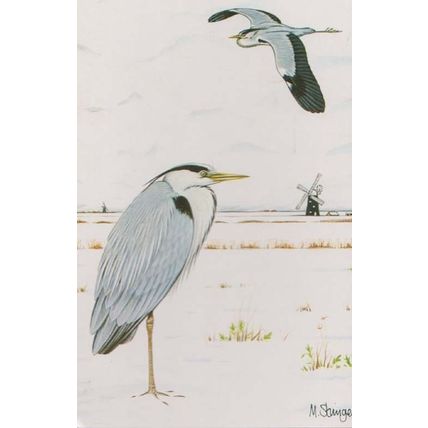 Heron Bird Local East Anglia Bird Essex Suffolk Rare Birds Postcard