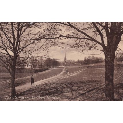 Walking The Dog Saffron Walden Essex RPC Old Postcard