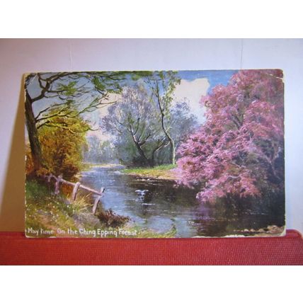 MAY TIME ON THE CHING, EPPING FOREST, ESSEX. used antique postcard 1907 pm =