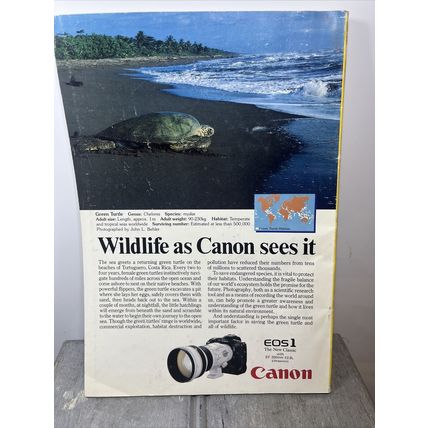 National Geographic Magazine October 1989 Laruta Maya Vintage Collectable p2