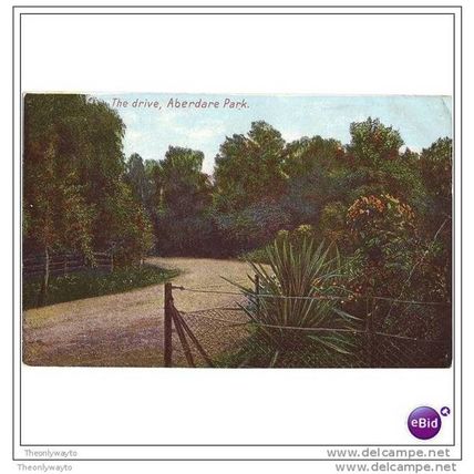 THE DRIVE, ABERDARE PARK, ABERDARE, WALES, 1905, Postcard