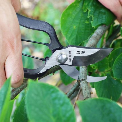 KAKURI Japanese Pruning Shears for Gardening Heavy Duty 8", Made in JAPAN, Profe