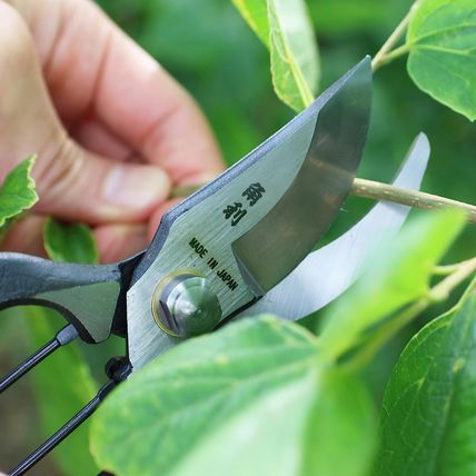 KAKURI Japanese Pruning Shears for Gardening Heavy Duty 8", Made in JAPAN, Profe