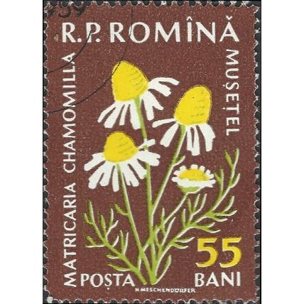 ROMANIA, FLOWER, Matricaria chamomilla, brown 1959, 55bani