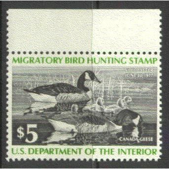 RW43 $5 Family of Canada Geese Very Fine MNH B0268