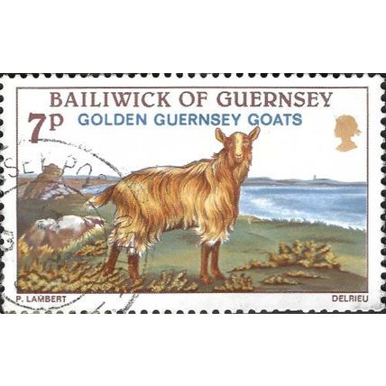 GUERNSEY, MAMMAL, Golden Guernsey gpat, brown 1980, 7p