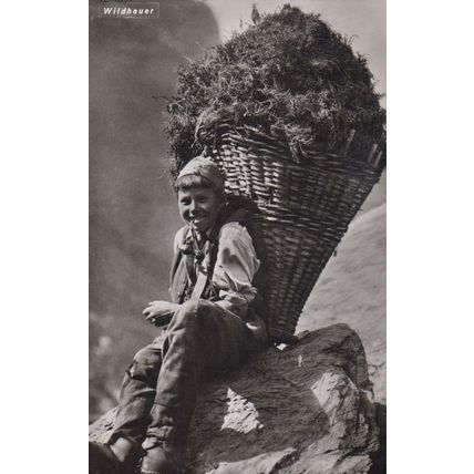Switzerland Wildheuer Farming Farm Hay Making Antique Swiss Real Photo Postcard