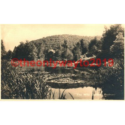 Wild Garden, Bodnant, Conway, Wales, Valentines RP Postcard 1932