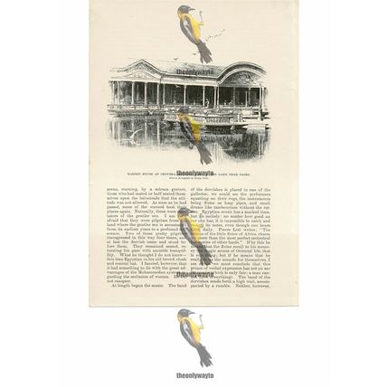 Garden House On Lake, Choubra, Nr Cairo, Egypt, Book Illustration (Print), 1891